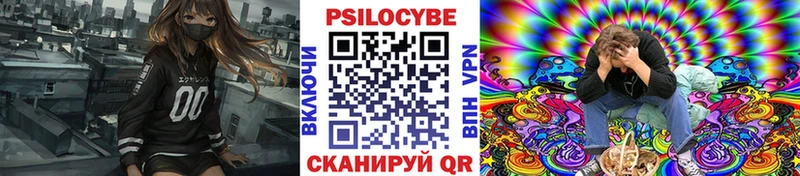 Псилоцибиновые грибы GOLDEN TEACHER  Купить  Томари 